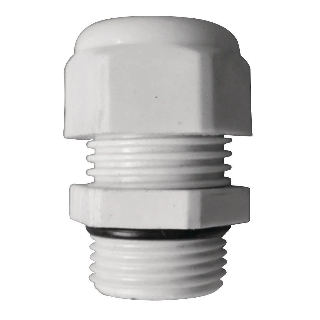 Buffalo Gland - Image 1