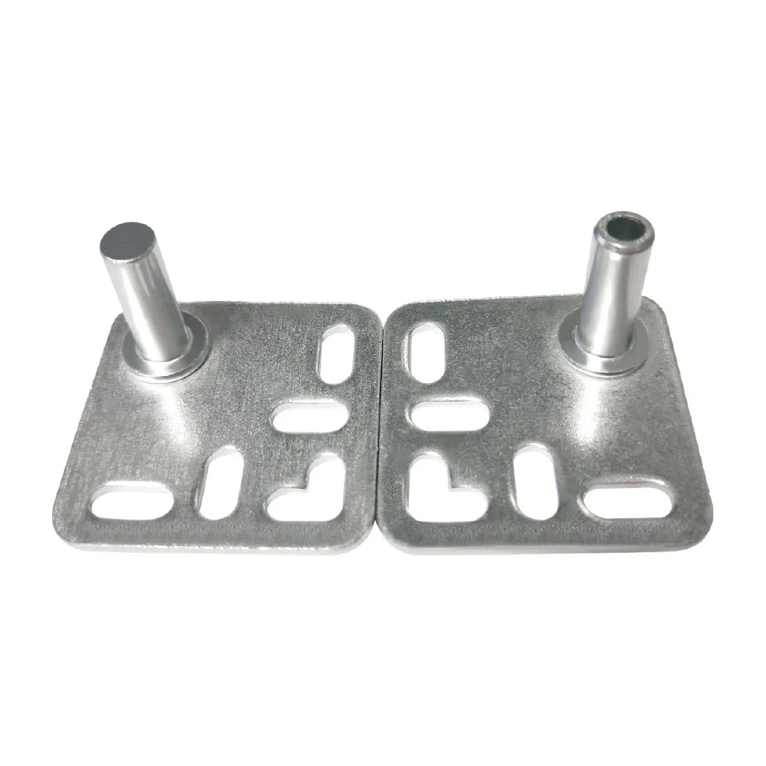 Polar Door Hinge