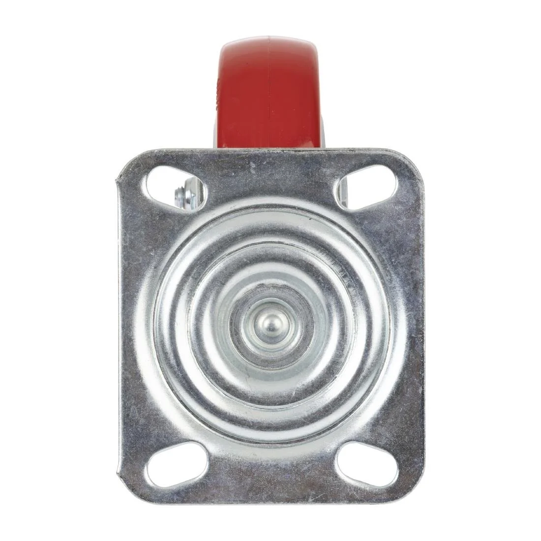 Buffalo Castor - Image 4