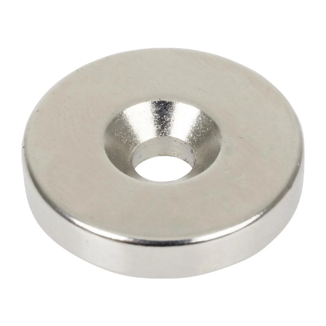 Buffalo Magnet - Image 1