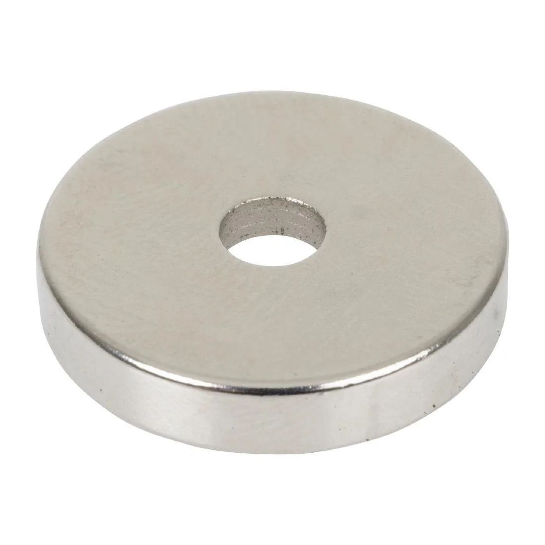 Buffalo Magnet - Image 2