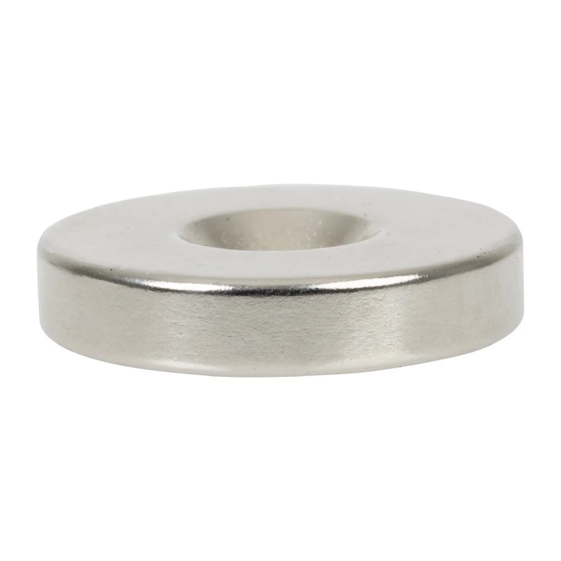 Buffalo Magnet - Image 3