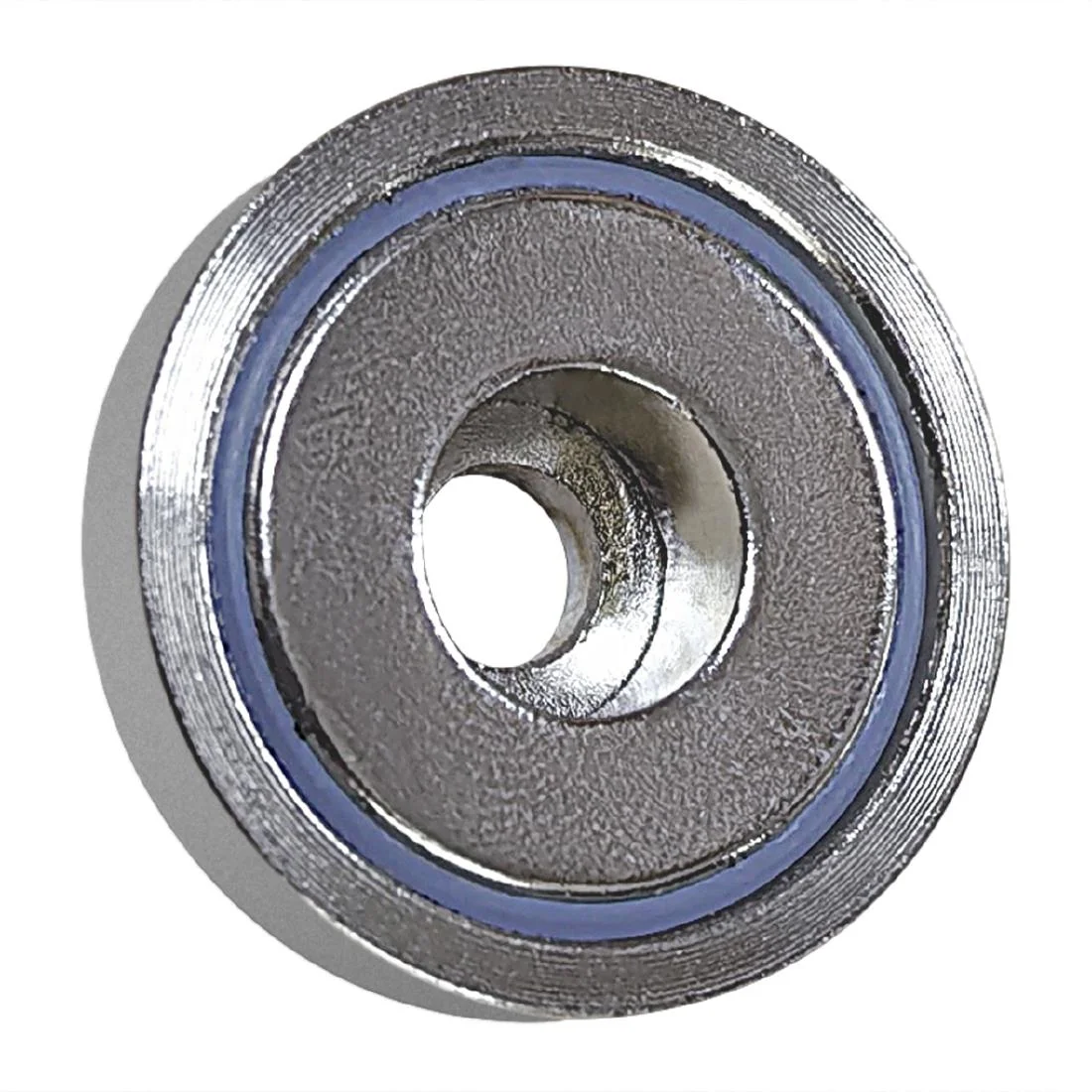 Buffalo Magnet