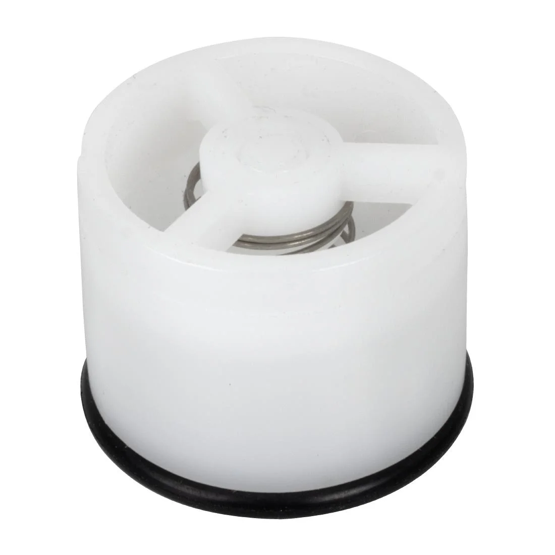 Buffalo 600 Series DN13 Check Valve - Image 2