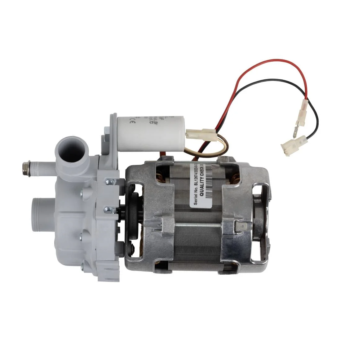 Buffalo Glasswasher Pump - Image 2
