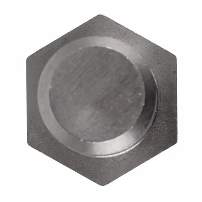 Buffalo Lower Hinge Bolt - Image 5