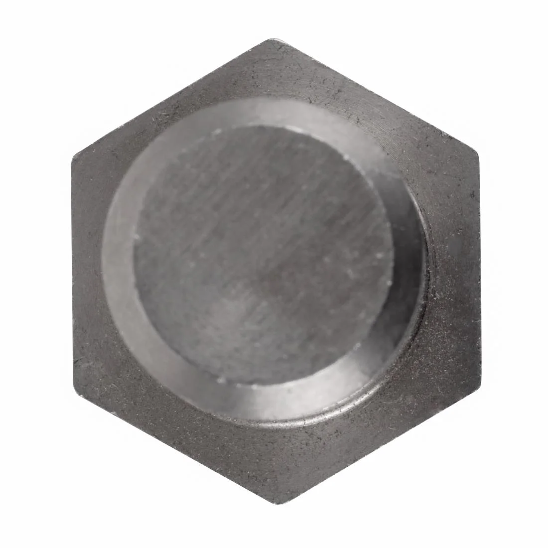 Buffalo Lower Hinge Bolt - Image 5