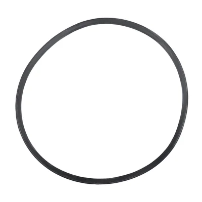 Buffalo Door Gasket - Image 1