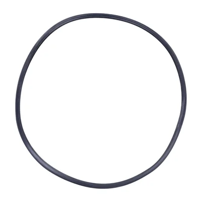 Buffalo Door Gasket - Image 1