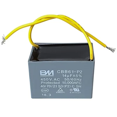 Buffalo Capacitor