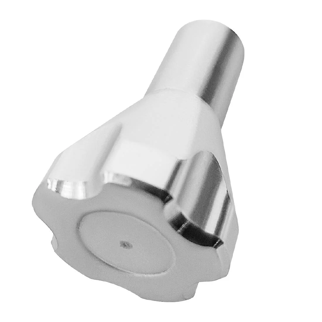 Polar SS Fasten Screw Short