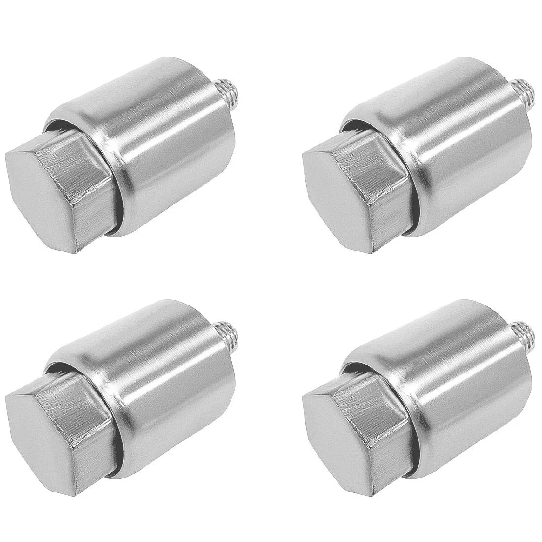 Buffalo Feet (Set of 4)