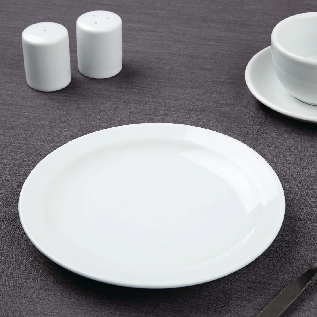 Athena Hotelware Narrow Rimmed Plates 205mm - Image 11