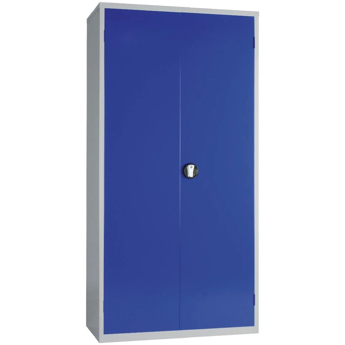 Janitorial Cupboard Grey Blue Doors - Image 2
