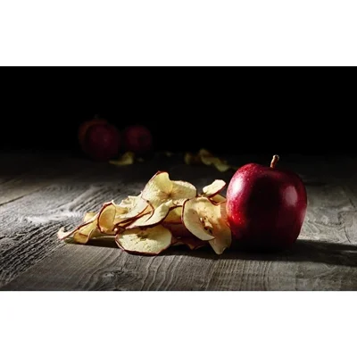 Waring Commercial 10 Tray Dehydrator - Image 4