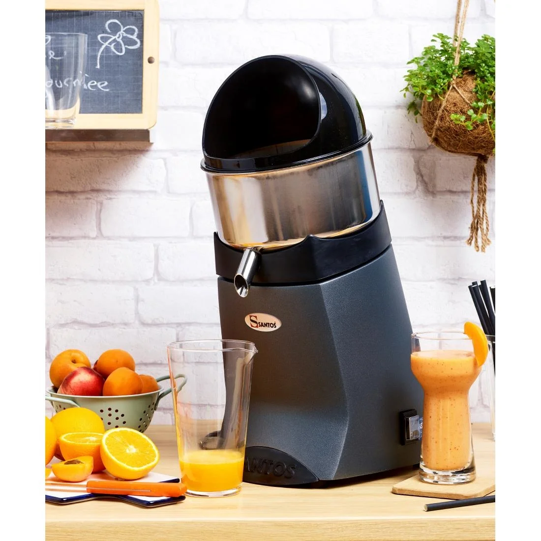 Santos Citrus Juicer Grey 52 - Image 4