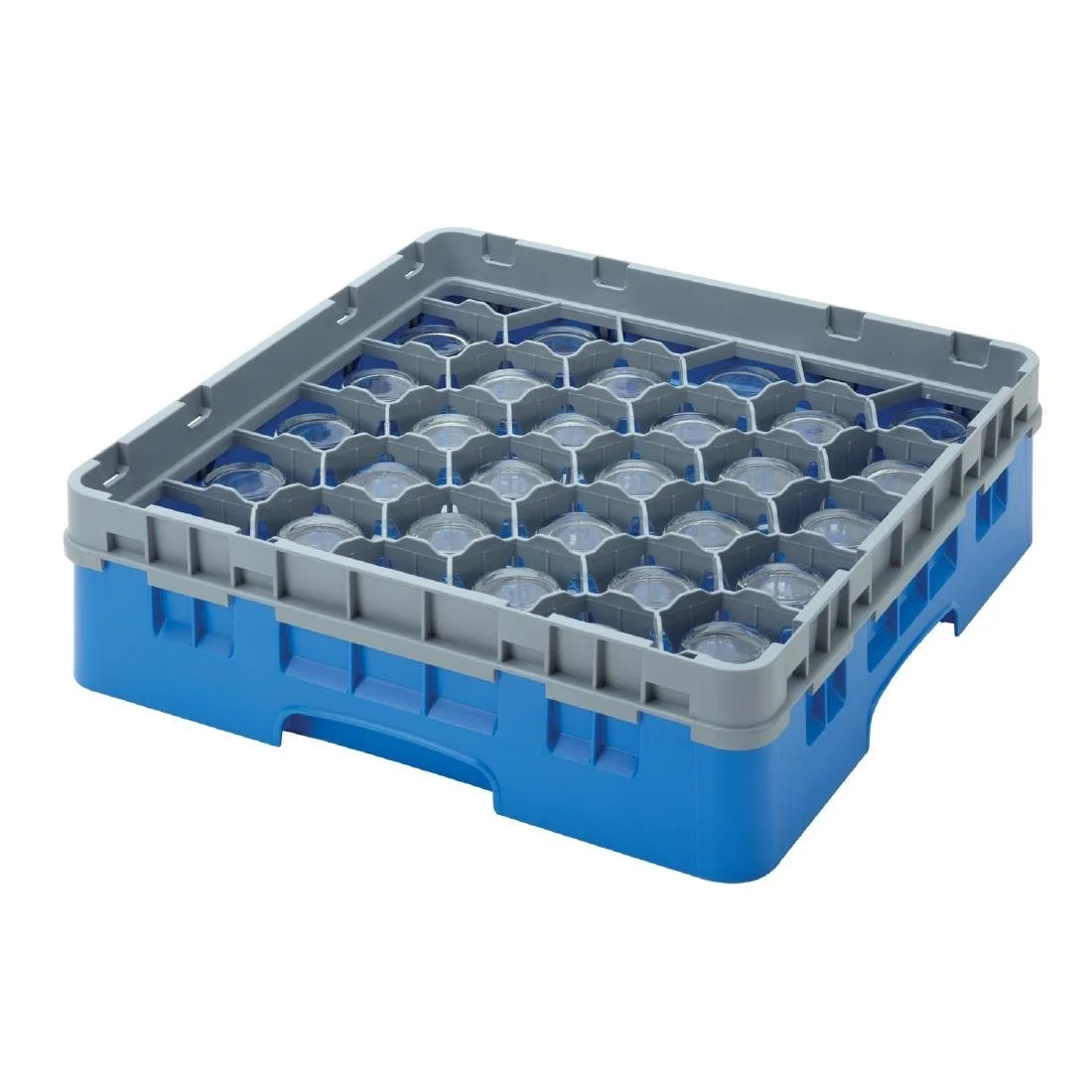 Cambro Camrack Blue 30 Compartments