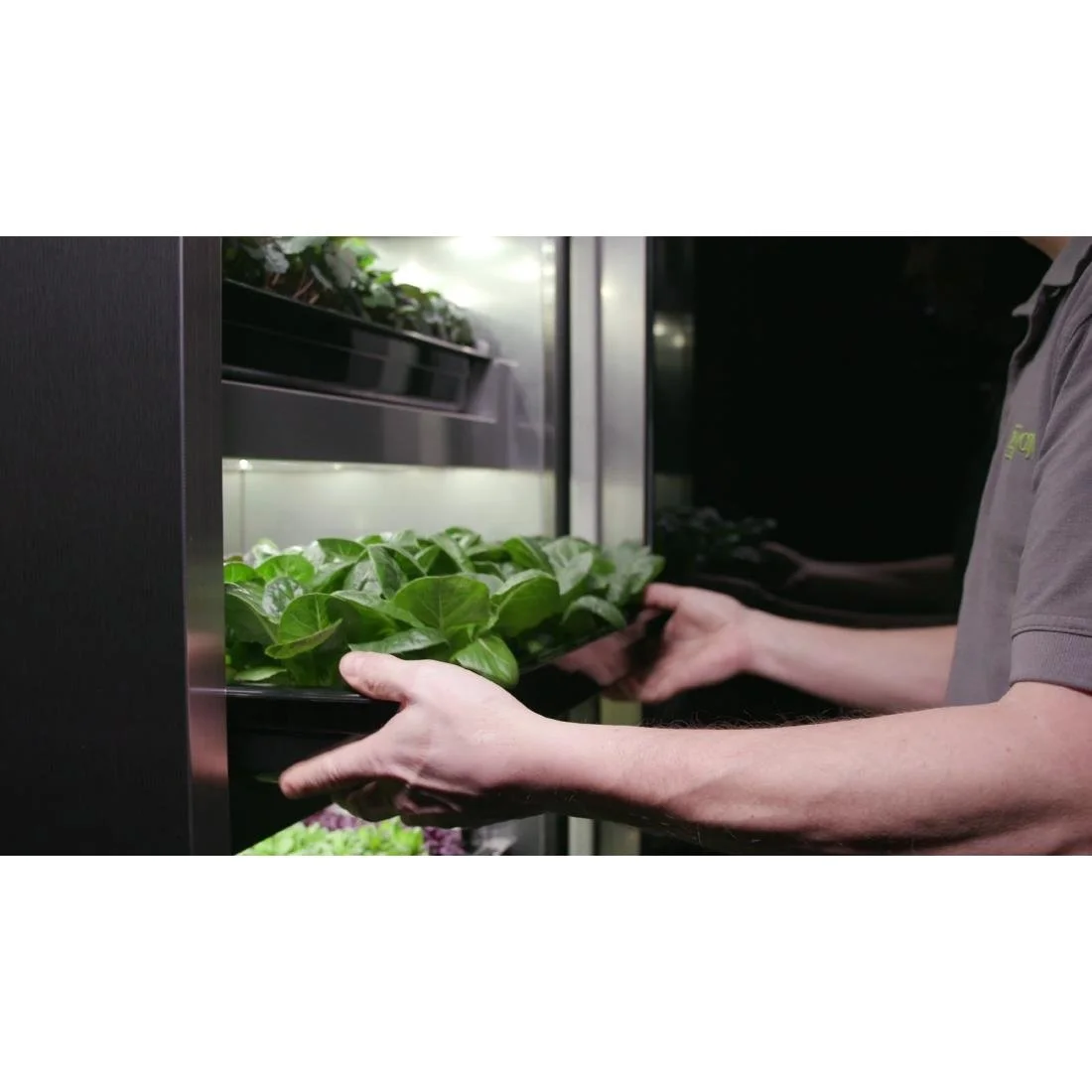 Evogro 4 Series Plant Growing Cabinet - Image 3
