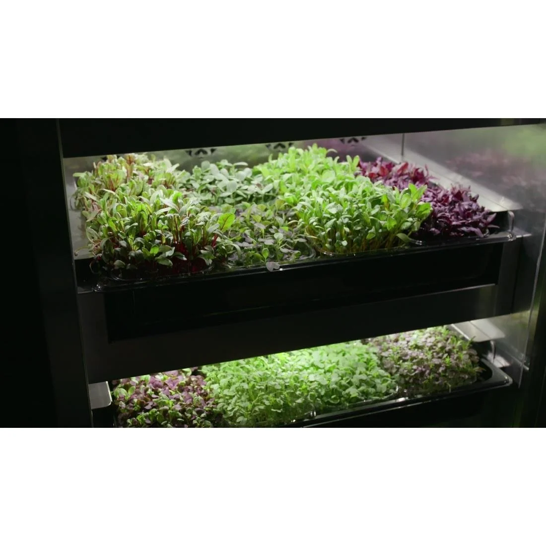Evogro 4 Series Plant Growing Cabinet - Image 4