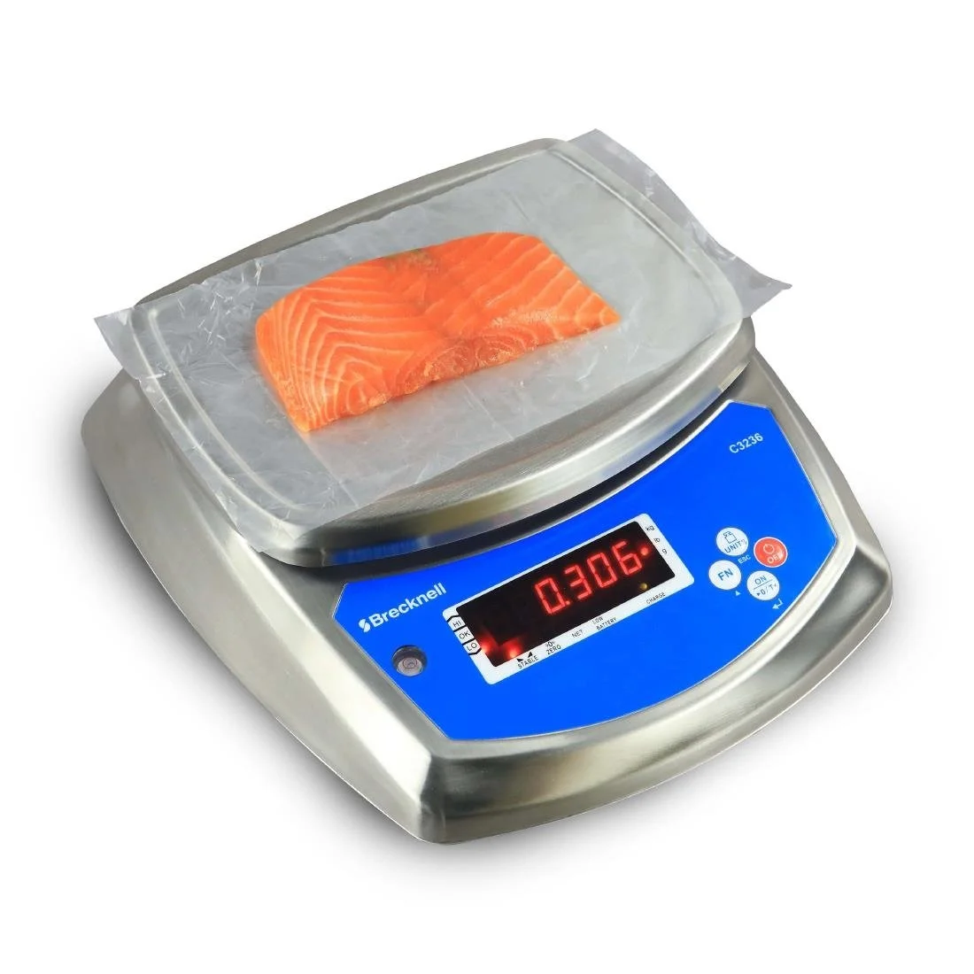 Brecknell C3236 Washdown Check Weigher Scale 3KG - Image 12