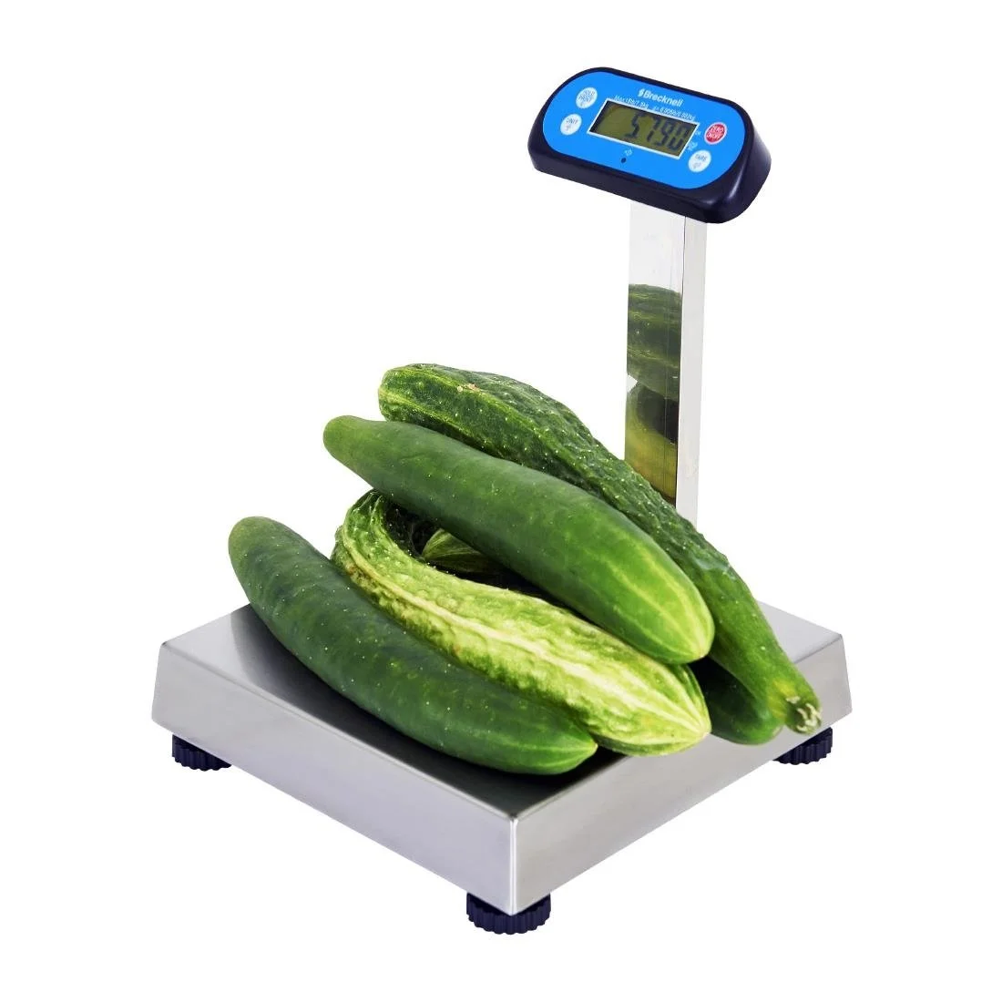 Brecknell 6700U Series POS Scale 6kg - Image 6