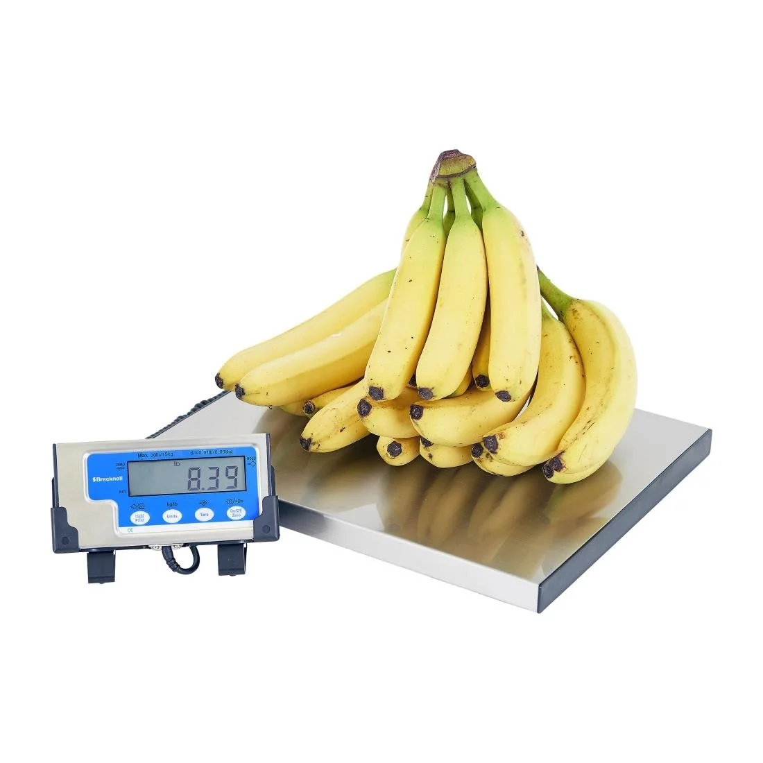 Brecknell WS15 Portable Bench Scale 15kg - Image 10