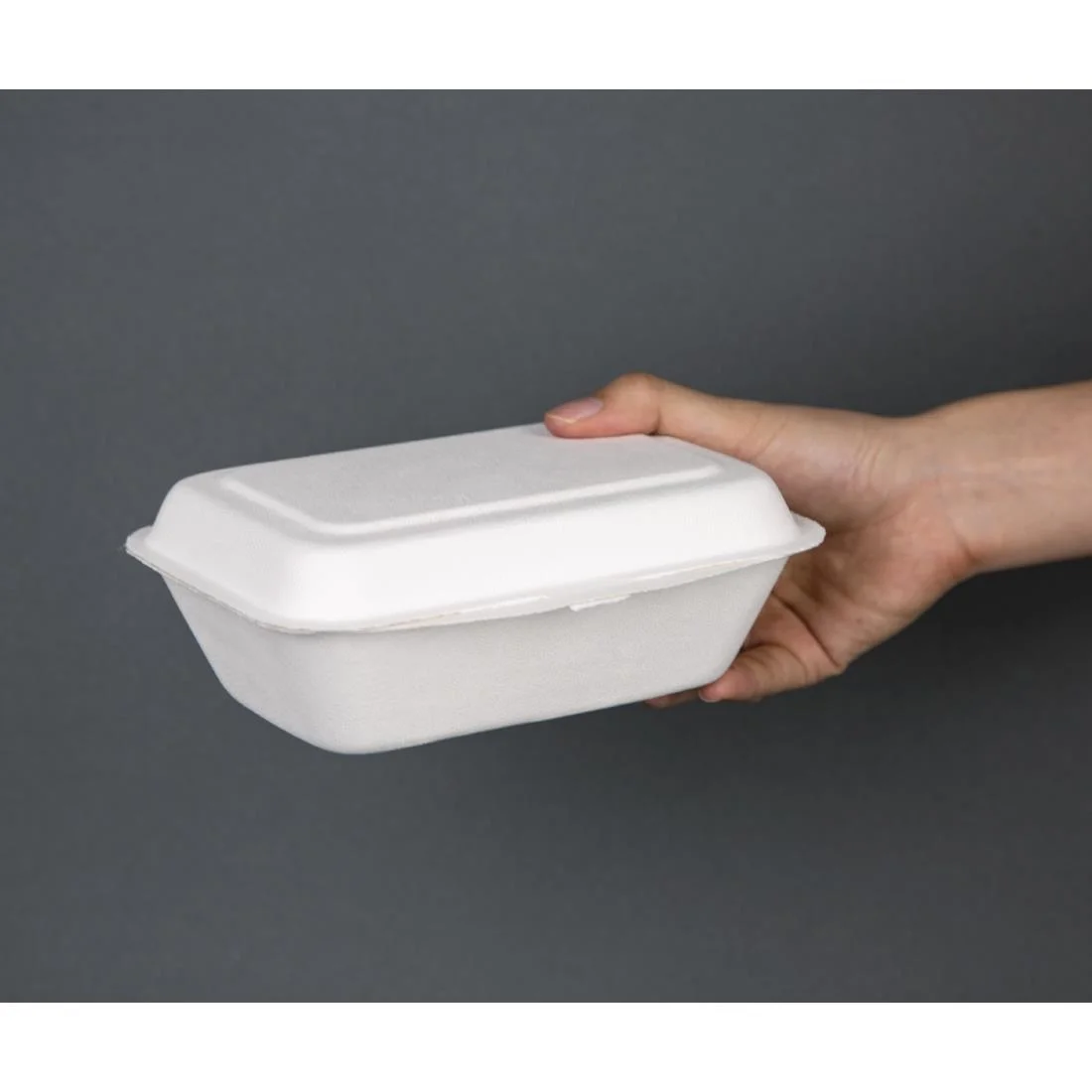 Fiesta Compostable Bagasse Hinged Food Containers 182mm - Image 3