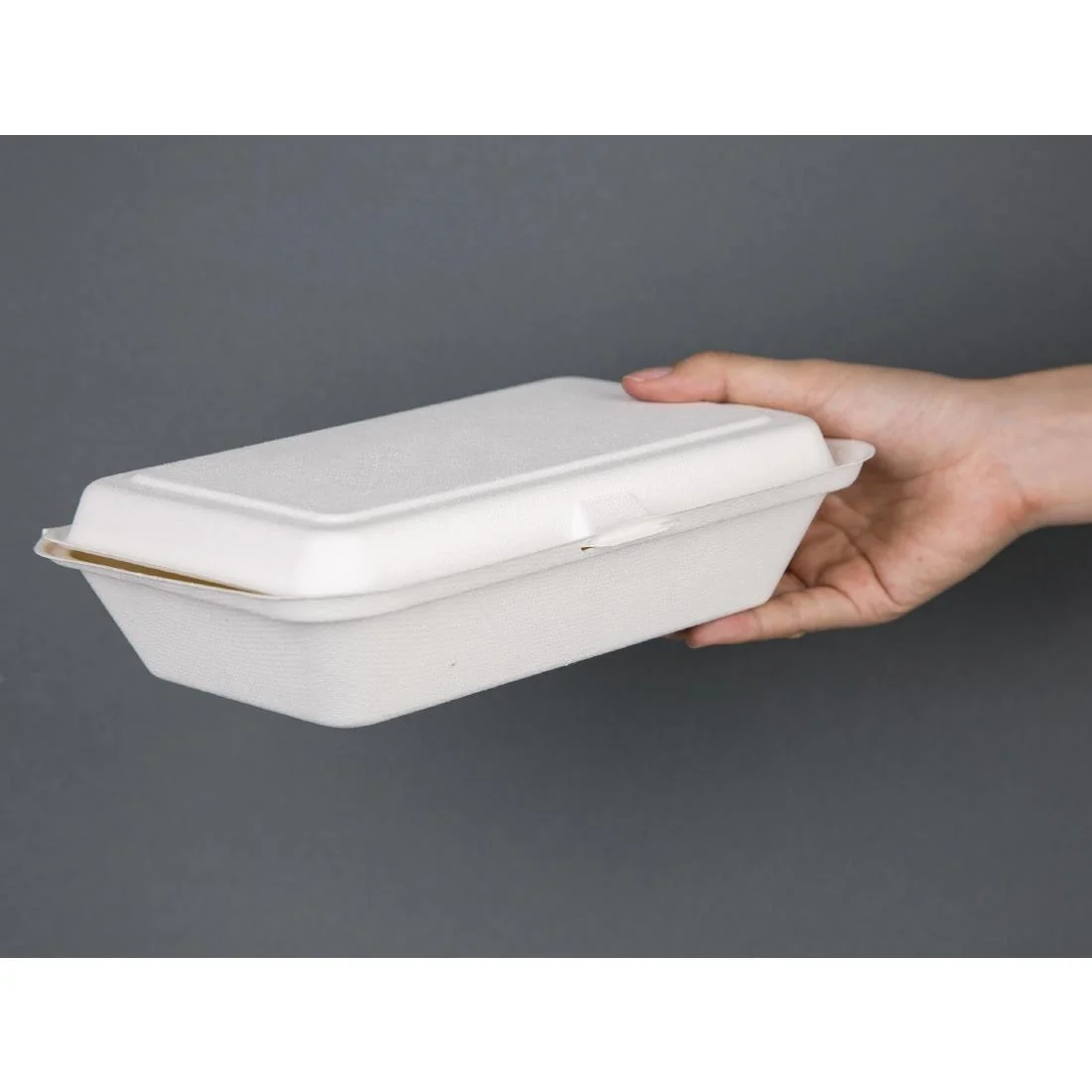Fiesta Compostable Bagasse Hinged Food Containers 248mm - Image 4