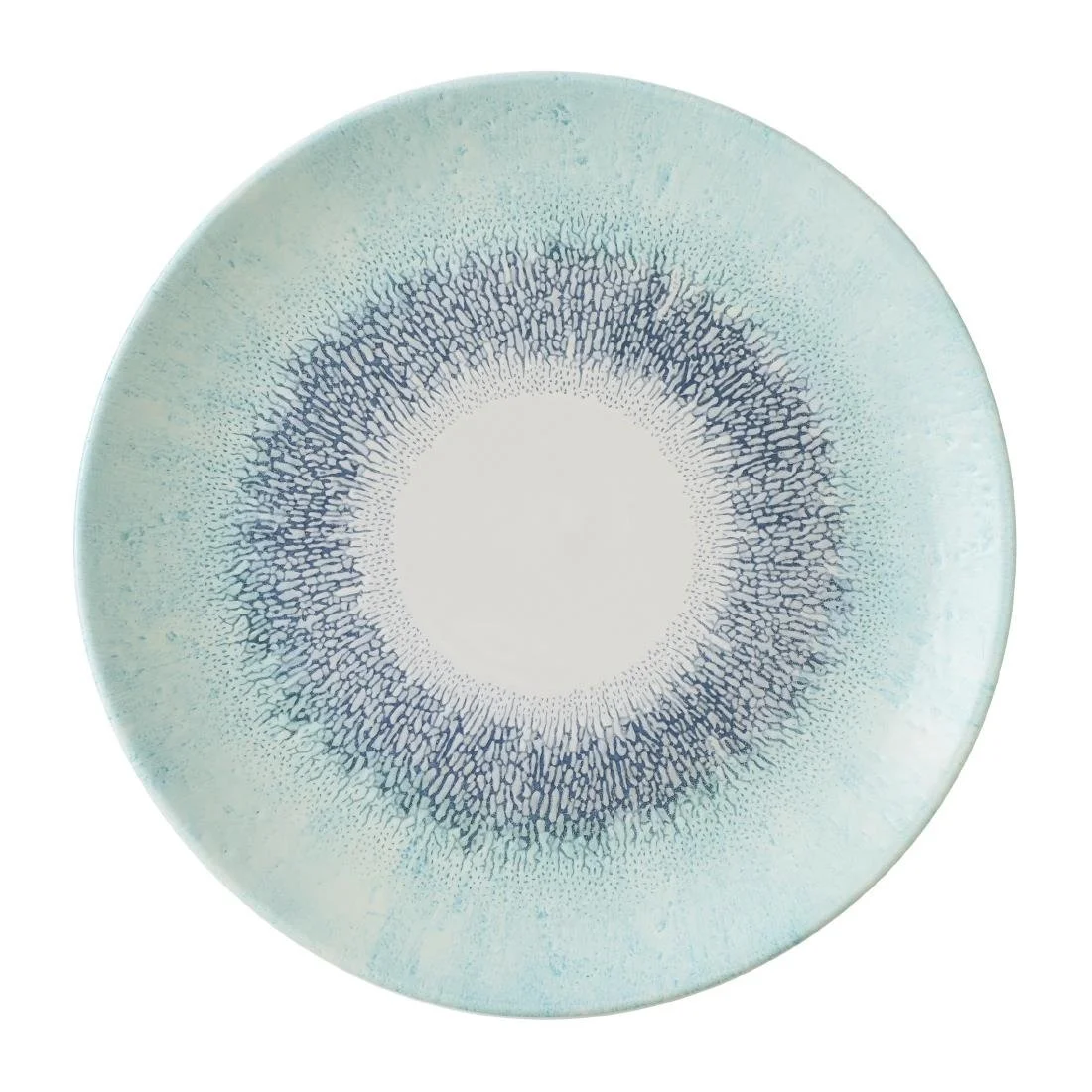 Churchill Studio Prints Fusion Blue Coupe Plates 260mm (12 Pack) - Image 1