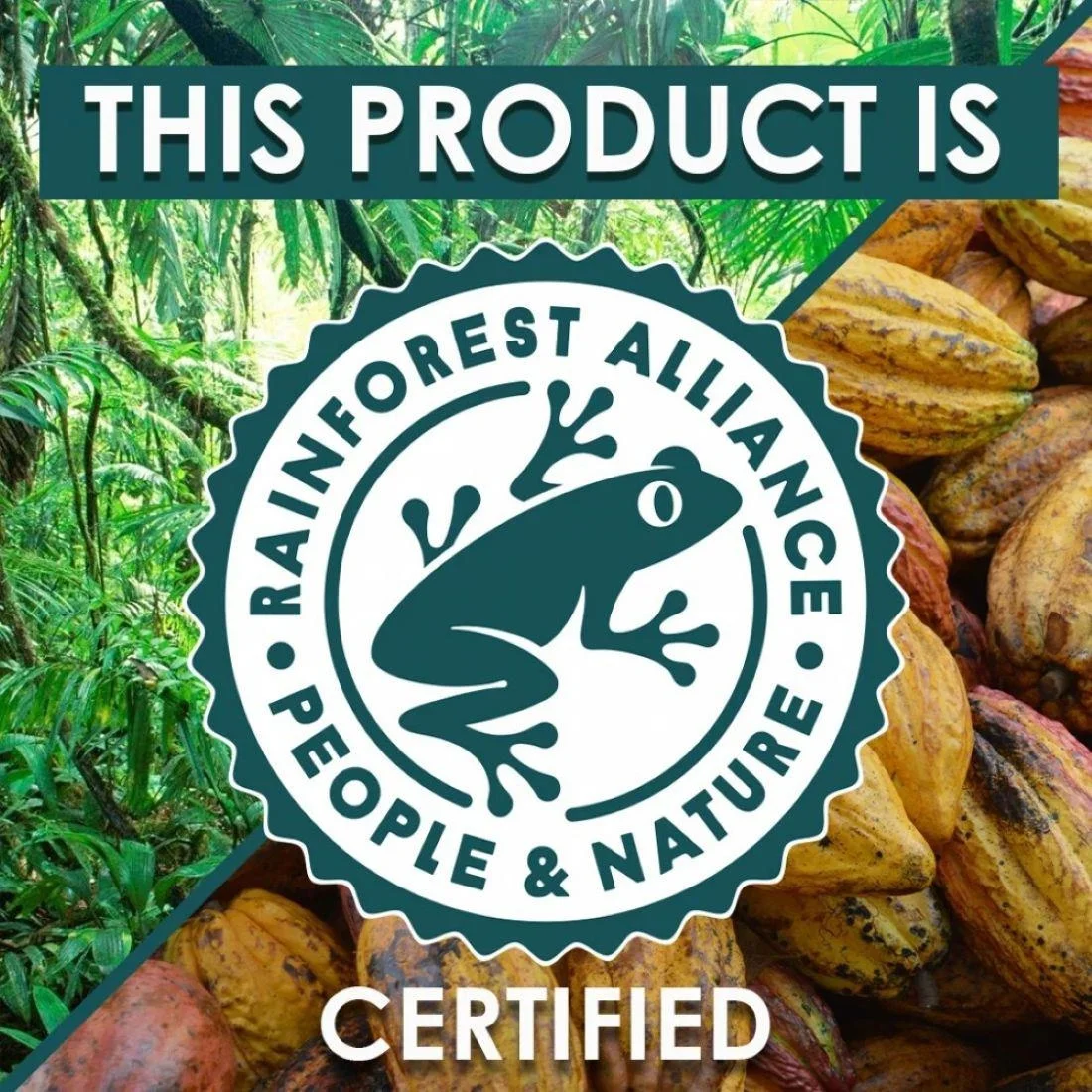 JM Posner Milk Chocolate Curls (Rainforest Alliance Cocoa) - 4Kg - Image 2
