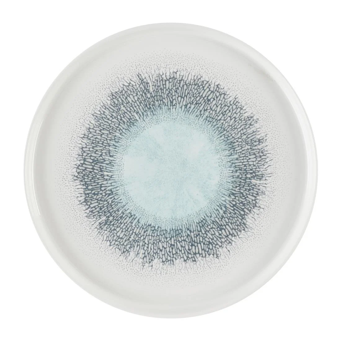 Churchill Studio Prints Fusion Aquamarine Chefs' Walled Plates 260mm (6 Pack) - Image 1