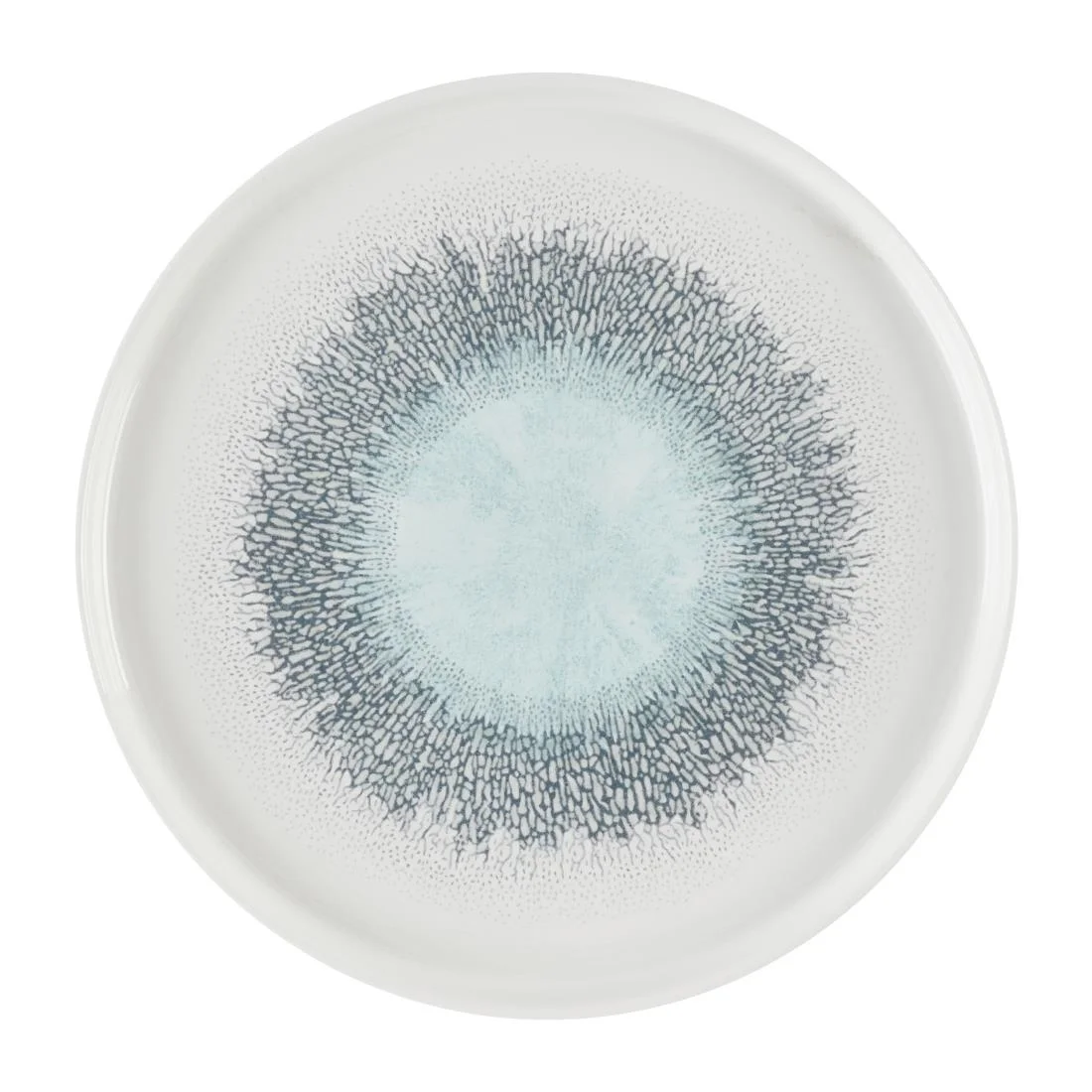 Churchill Studio Prints Fusion Aquamarine Chefs' Walled Plates 260mm (6 Pack)