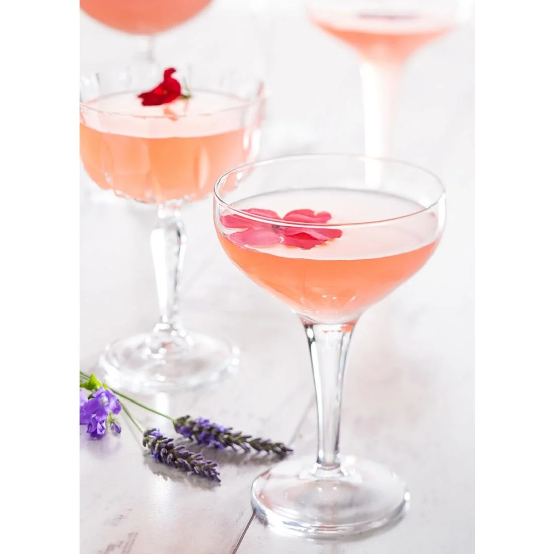 Utopia Moda Fully Toughened Coupe Glasses 210ml (12 pack) - Image 2