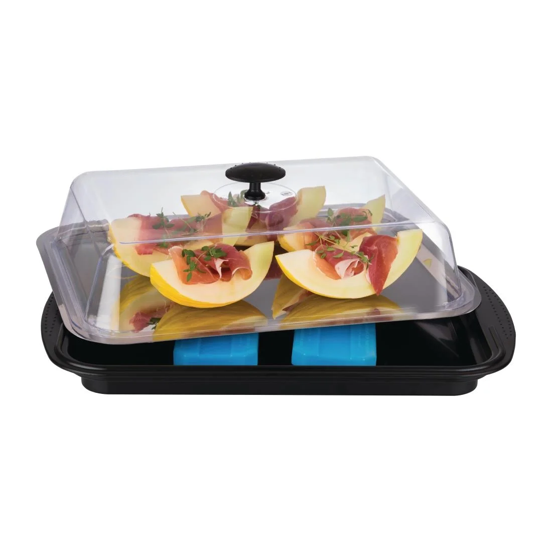 APS Thermo Tray Cooling Set 430 x 290mm - Image 5