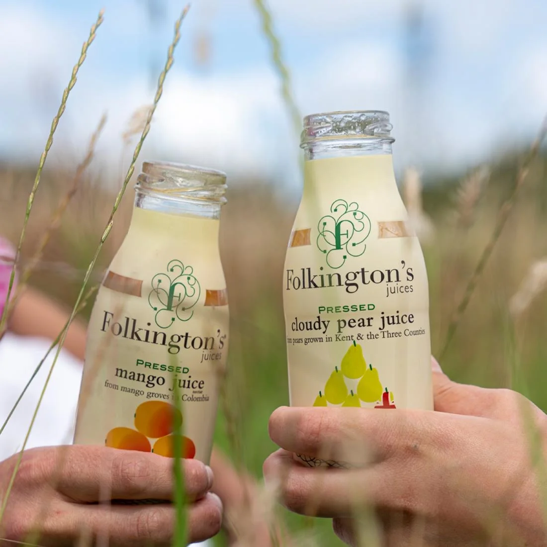 Folkington's Juices Mango Glass Bottle 250ml (12 Pack) - Image 3