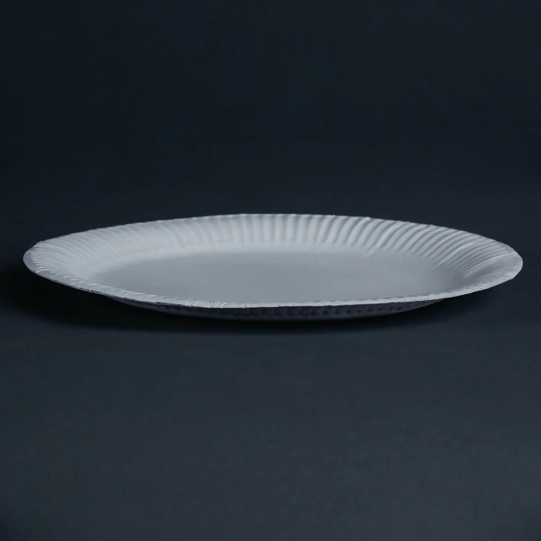 Paper Plates 229mm (1000 Pack) - Image 3