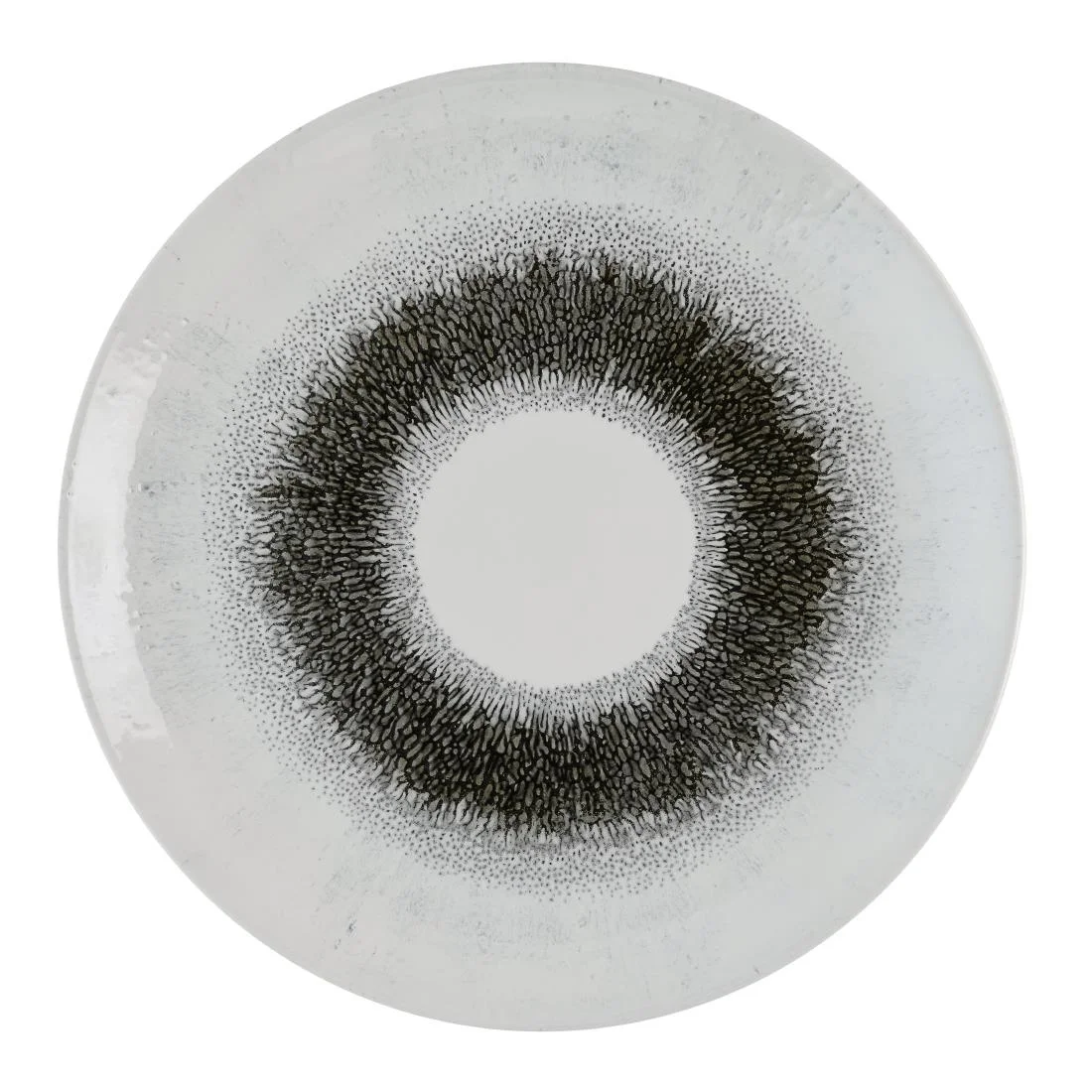 Churchill Studio Prints Fusion Black Evolve Coupe Plates 285mm (12 Pack)