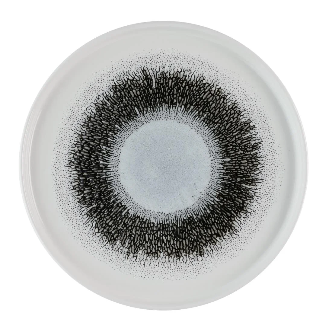 Churchill Studio Prints Fusion Black Walled Plates 260mm (6 Pack)