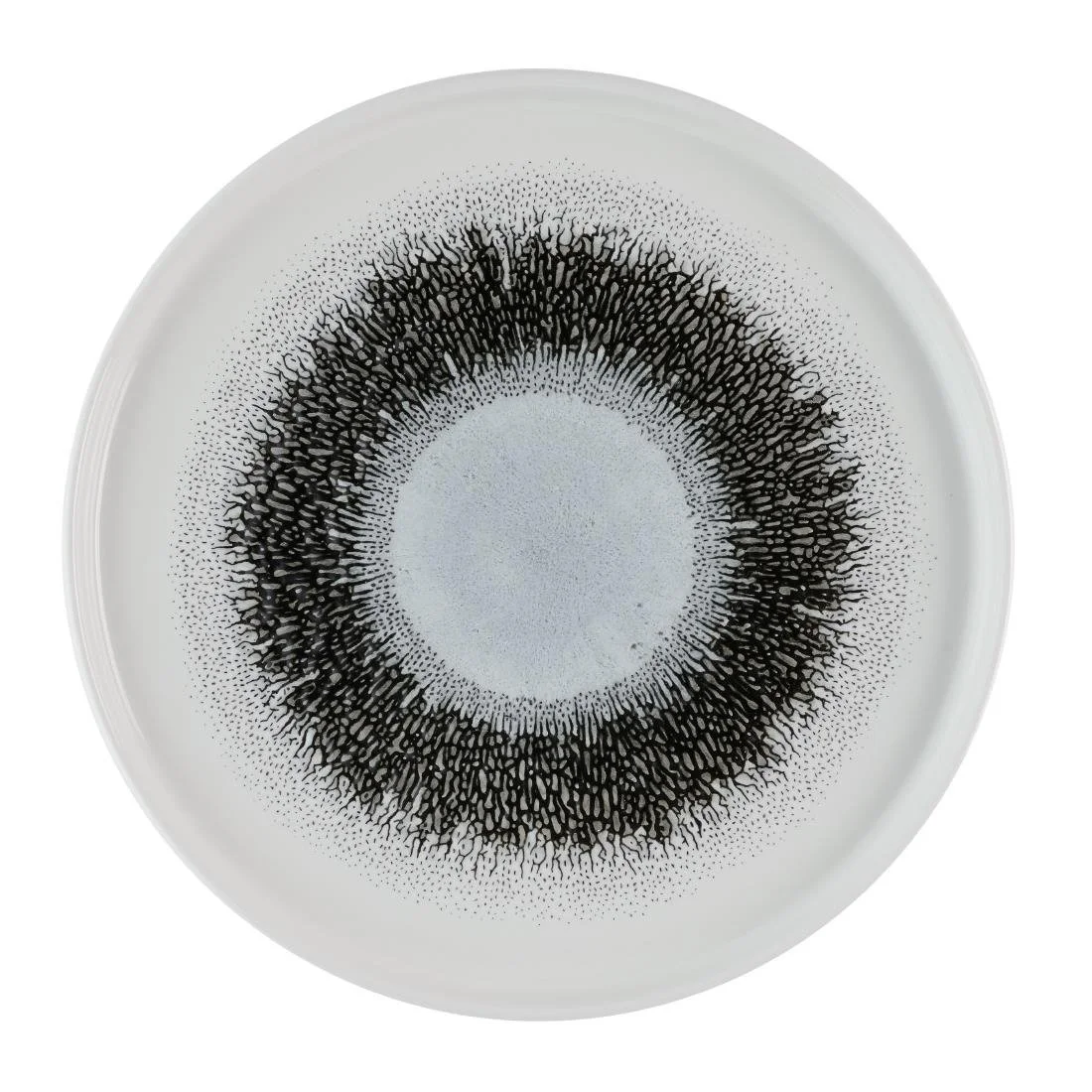 Churchill Studio Prints Fusion Black Walled Plates 260mm (6 Pack) - Image 1
