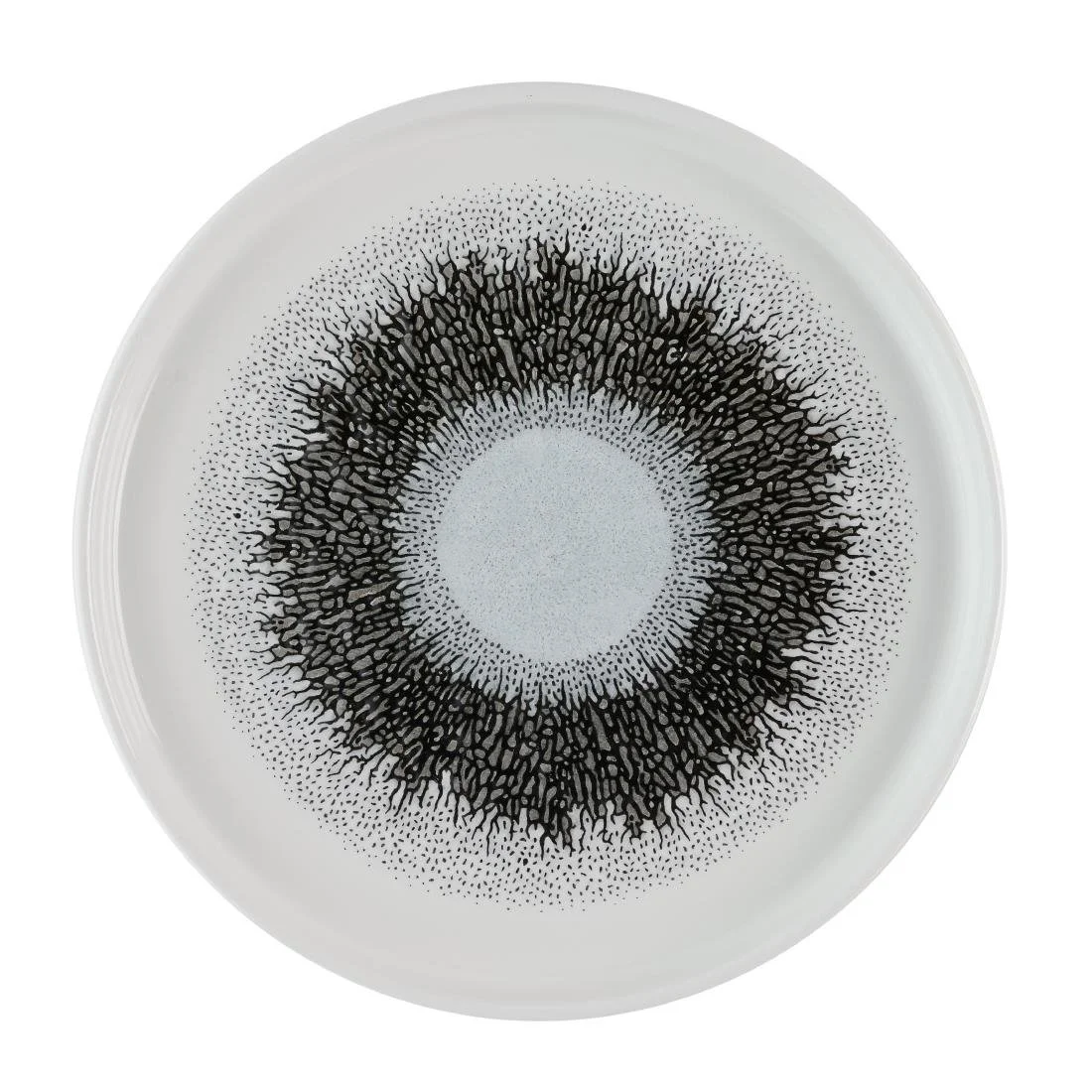 Churchill Studio Prints Fusion Black Walled Plates 210mm (6 Pack) - Image 1