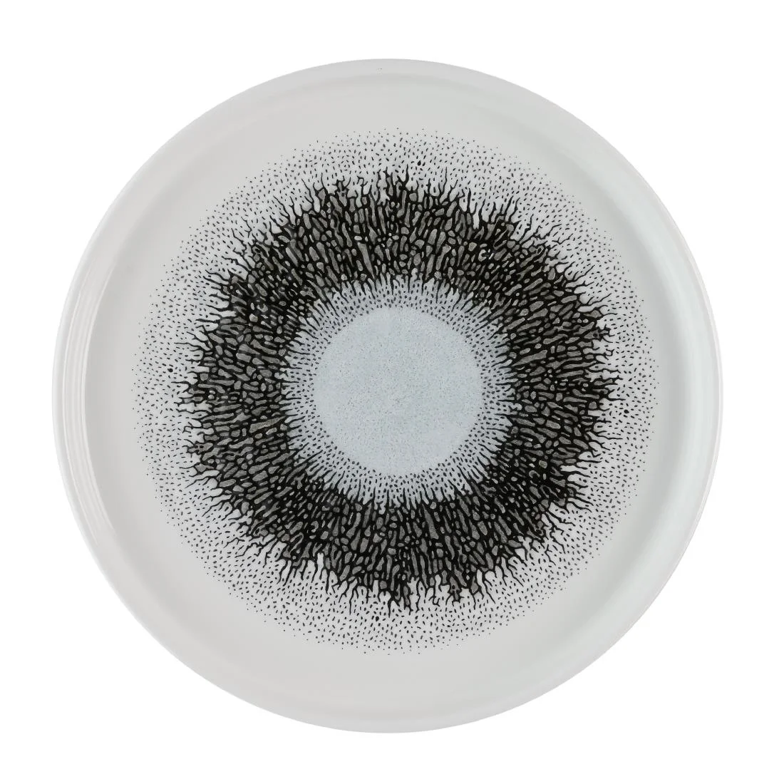 Churchill Studio Prints Fusion Black Walled Plates 210mm (6 Pack)