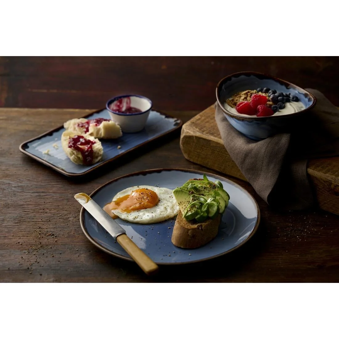 Dudson Harvest Indigo Coupe Plates 220mm (12 Pack) - Image 2
