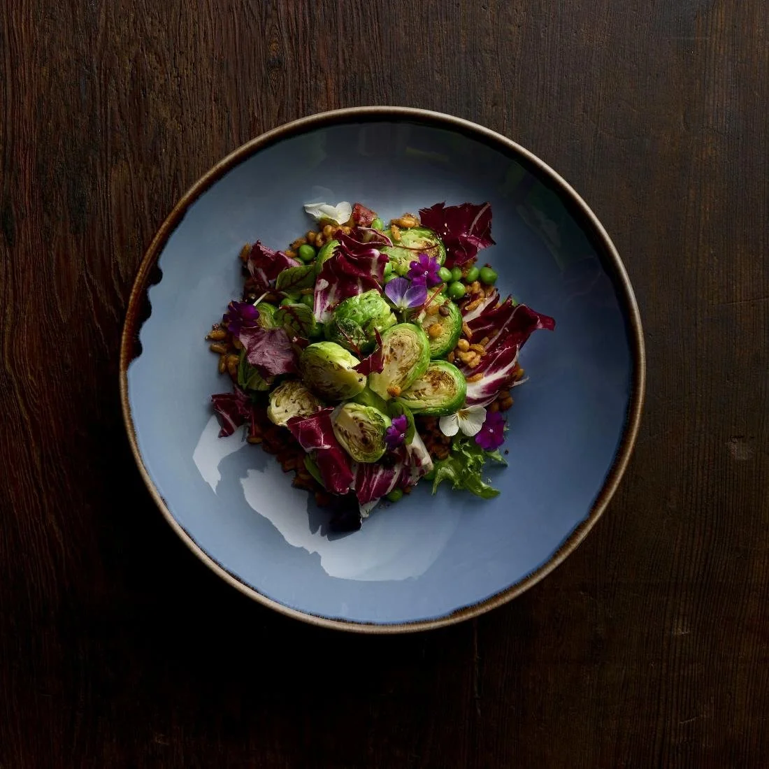 Dudson Harvest Indigo Coupe Bowls 247mm (12 Pack) - Image 2