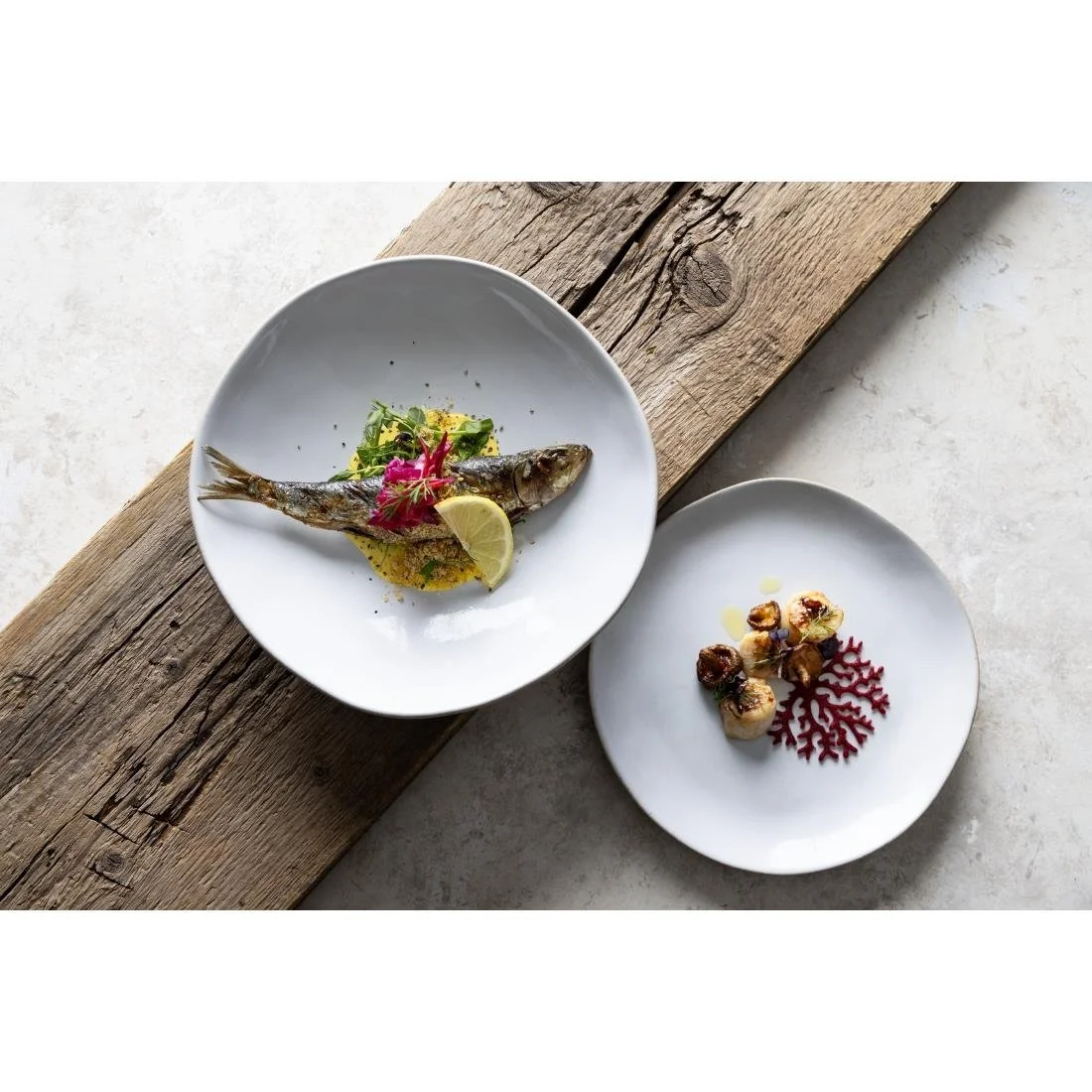 Olympia Raw Recycled Clay Coupe Plates Natural 220mm (6 Pack) - Image 13