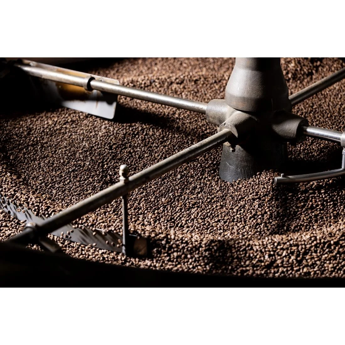 Beaumont No.1 Classico Coffee Beans 1kg - Image 6