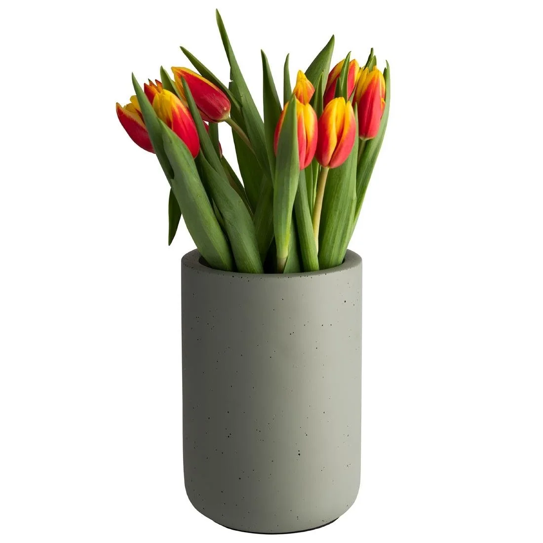 APS Element Bottle Cooler Light Green 120x190mm - Image 4