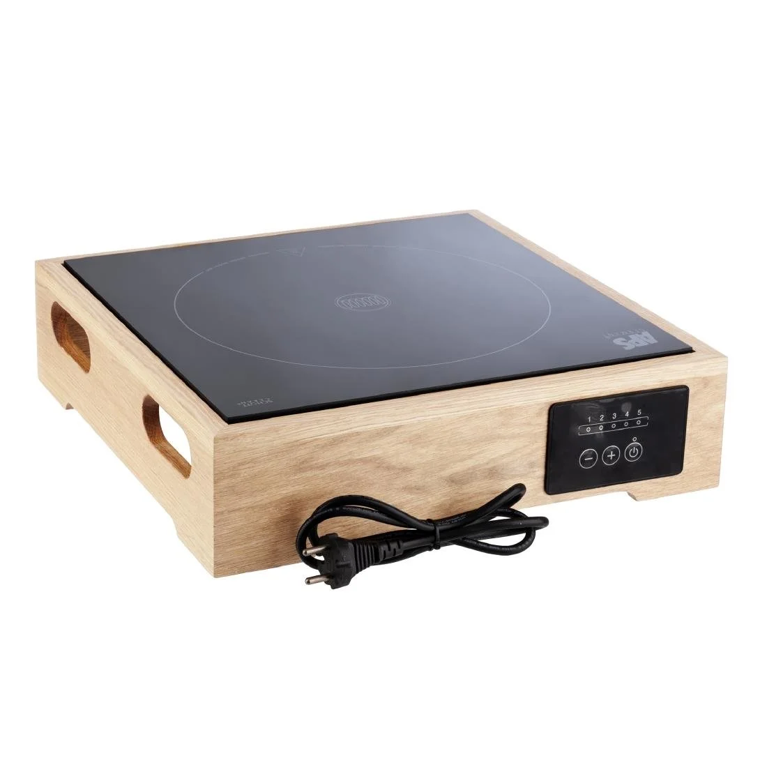 APS Induction Station 390x390x100mm - Image 2