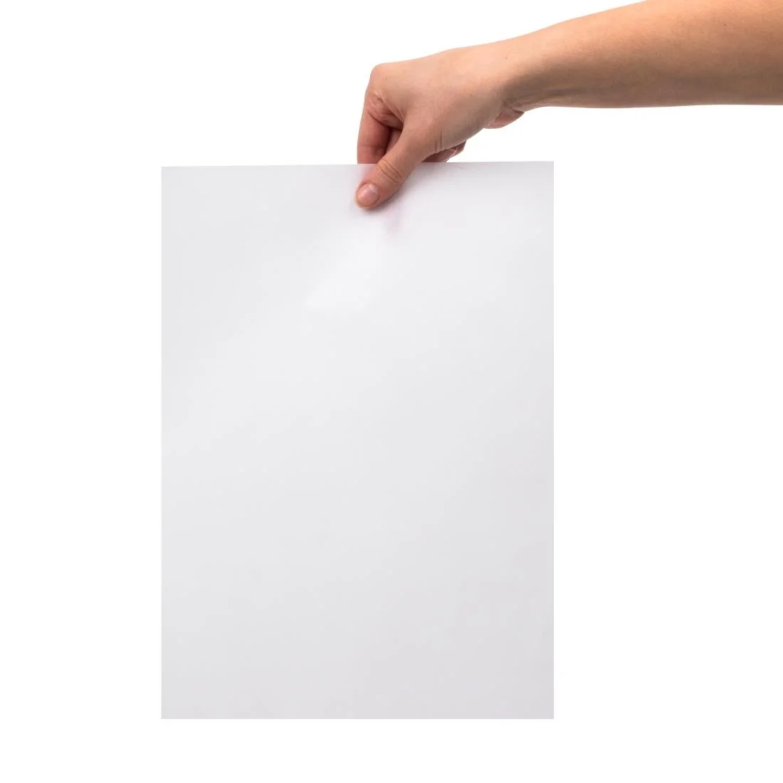 Fiesta Compostable Burger Wraps White 250x350mm (200 Pack) - Image 5