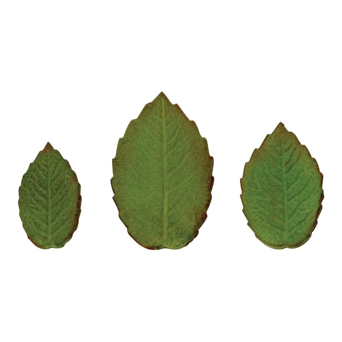 PME Foliage Veined Rose Leaf Plunger Cutter (3 Pack) - Image 5