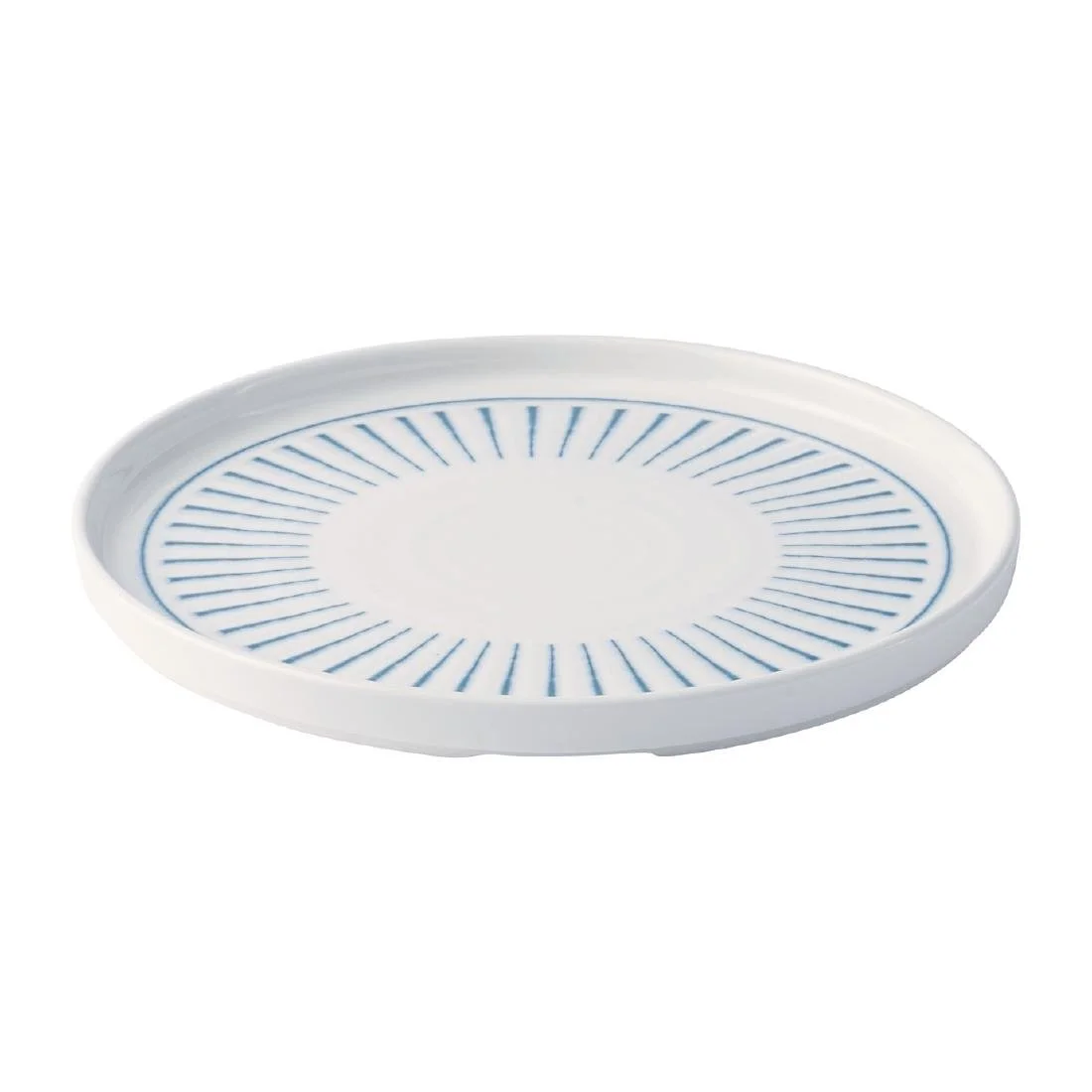 Churchill Era Blue Walled Plates 260mm (6 Pack) - Image 2